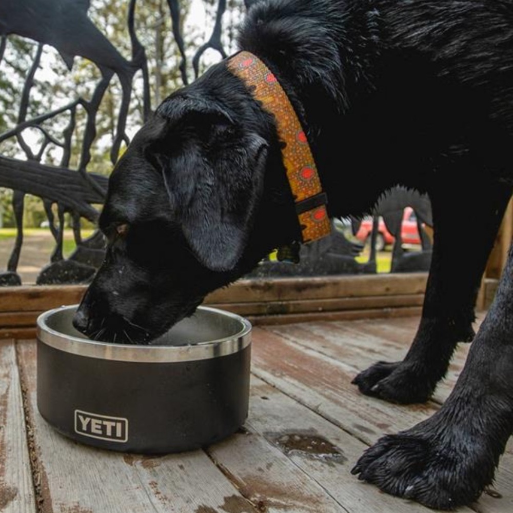 Yeti Stainless Steel 4-Cup Dog Bowl
